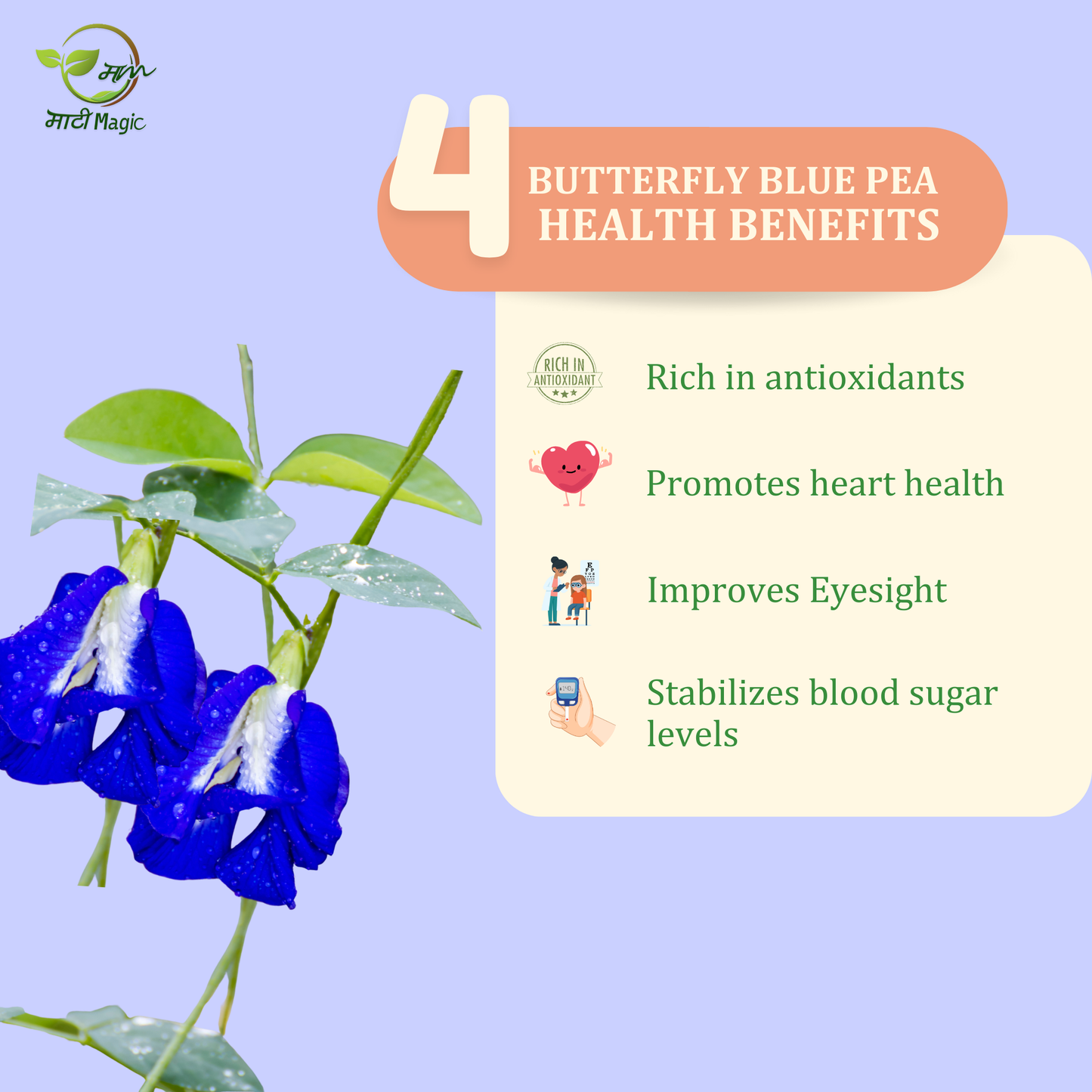Butterfly Blue Pea Flower Tea Health Benefits