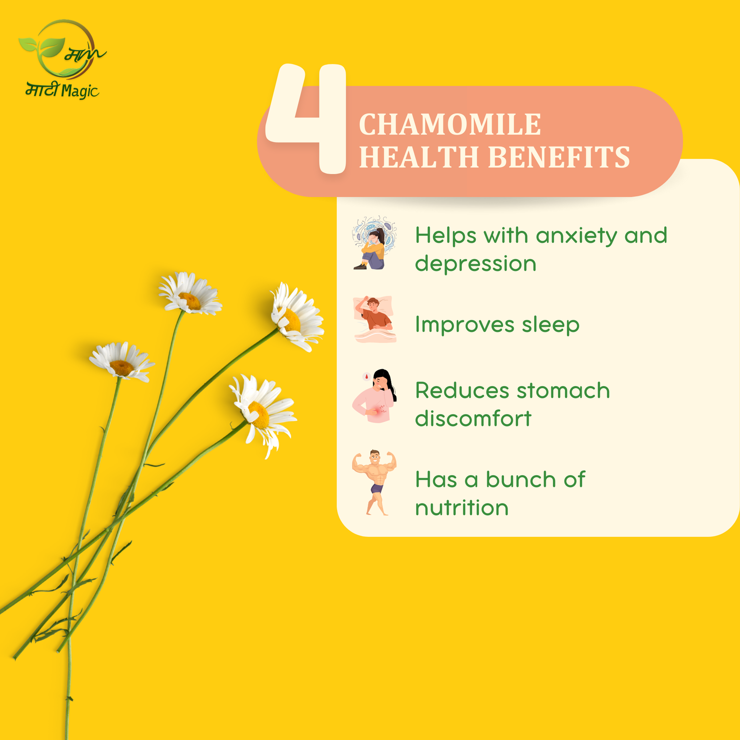 Chamomile Flower tea health benefits