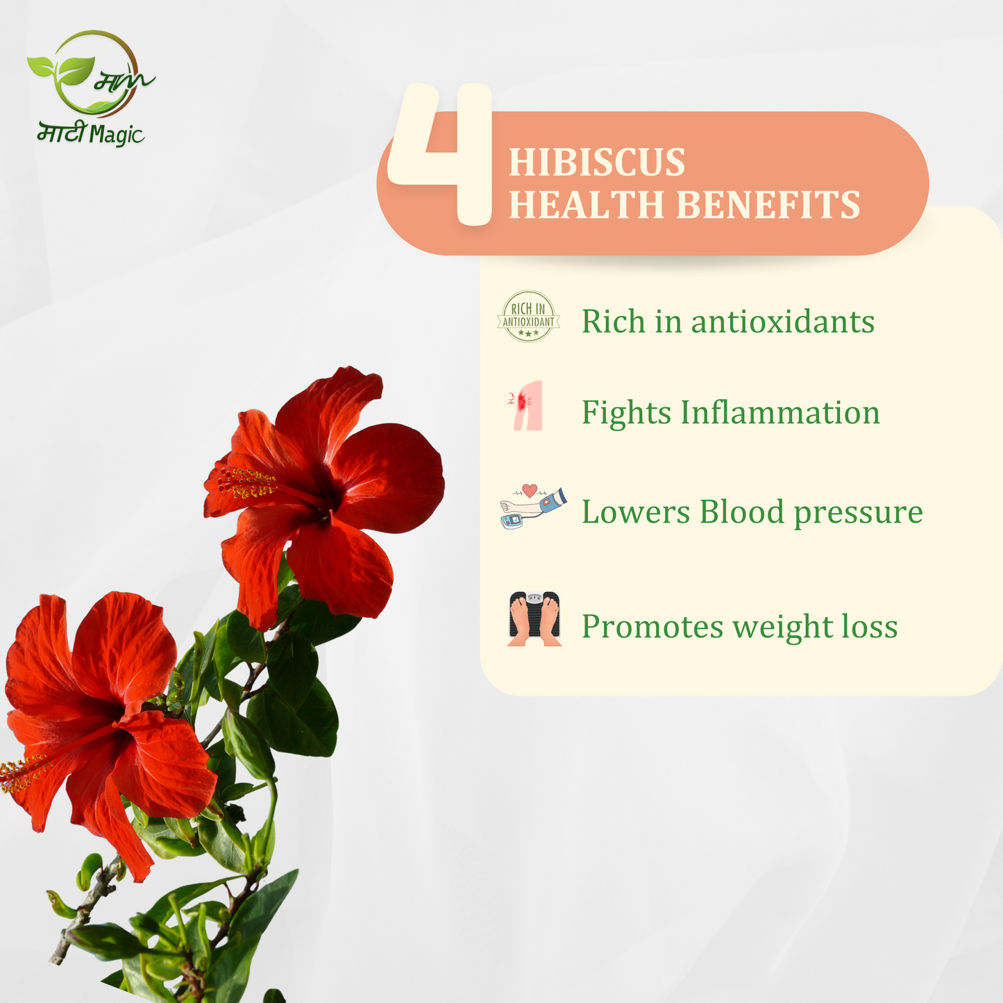Hibiscus Flower Tea Health Benefits