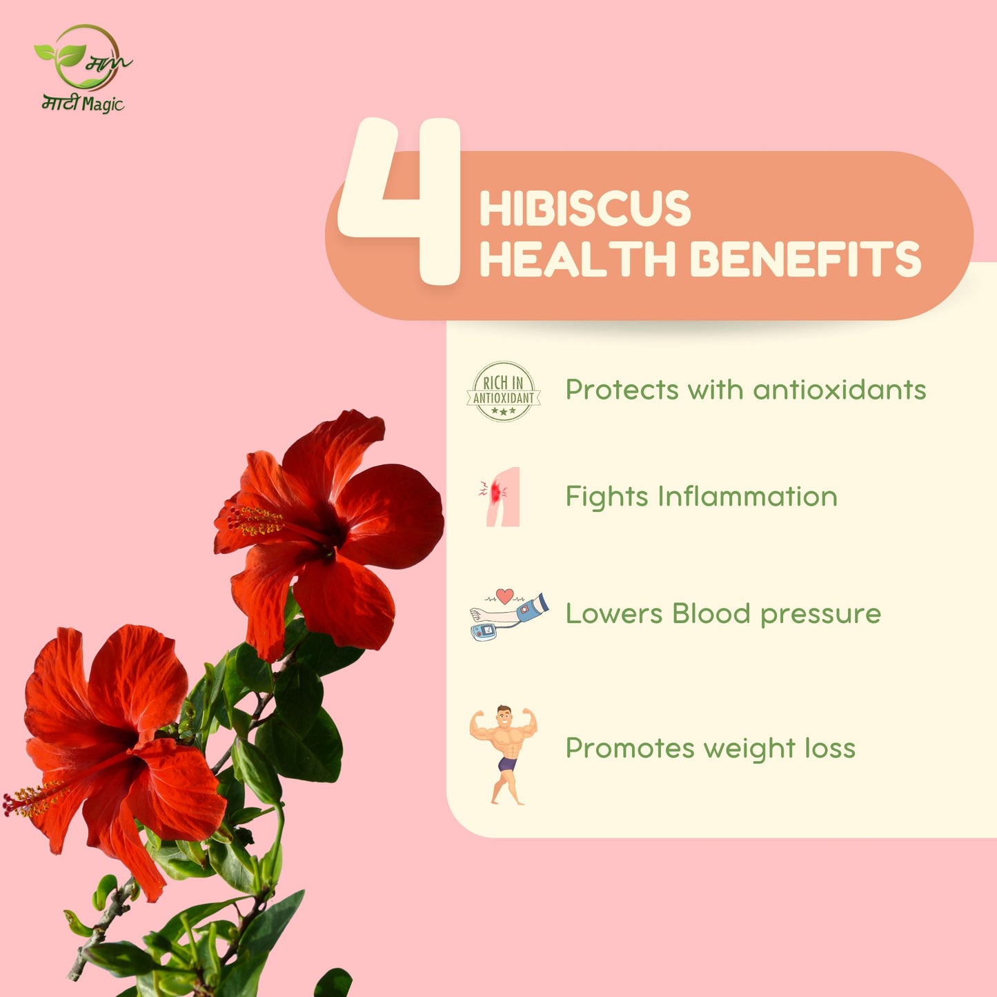 Hibiscus Flower Tea