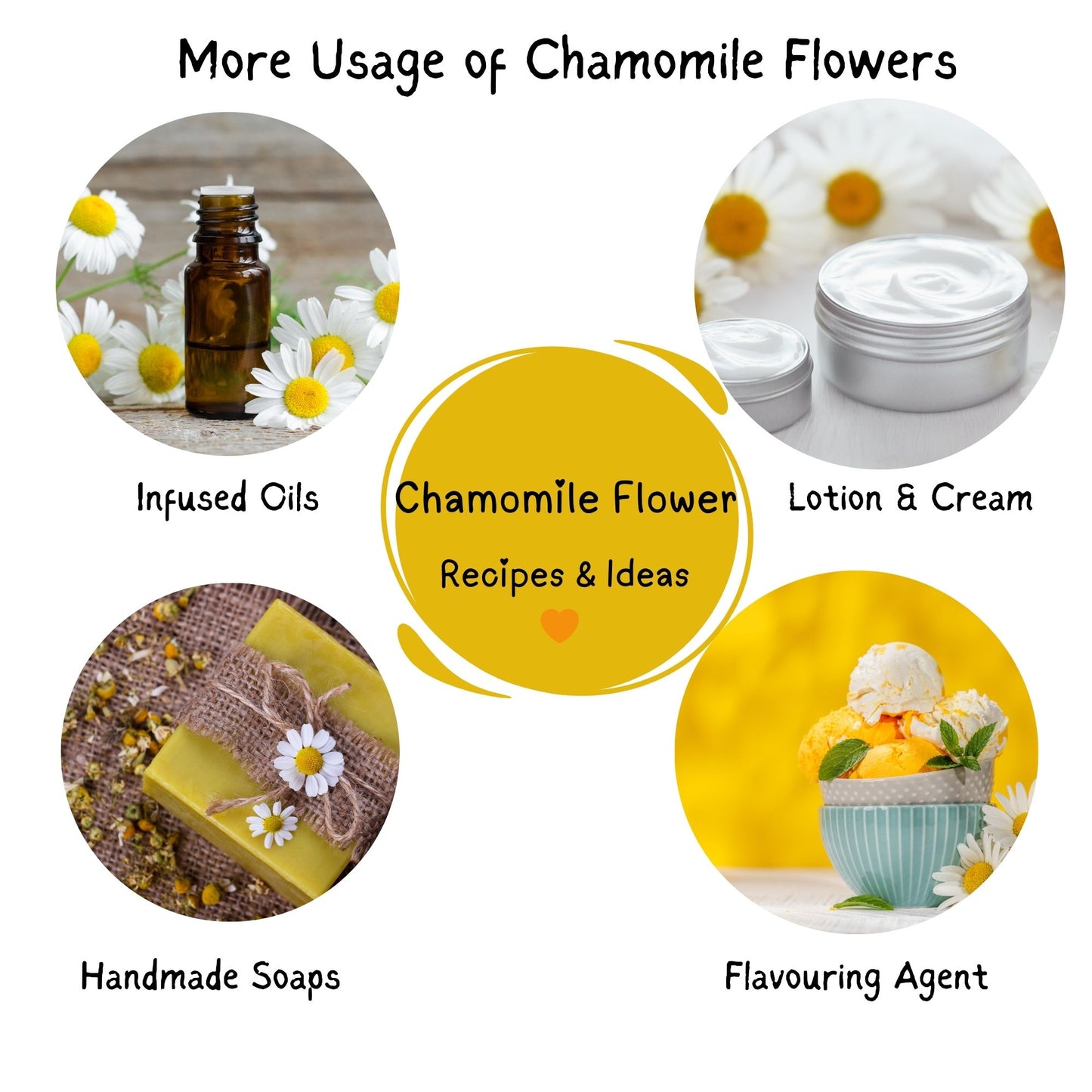 Chamomile Flower Tea